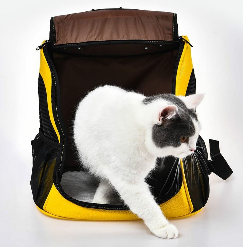 Рюкзак-переноска для животных Xiaomi Little Beast Star Pet Bag (XN11-5001)