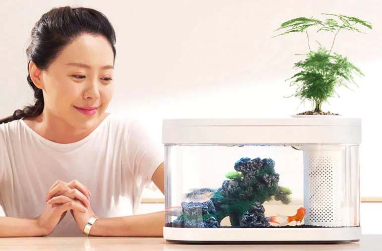 Аква-ферма Xiaomi Eco fish tank