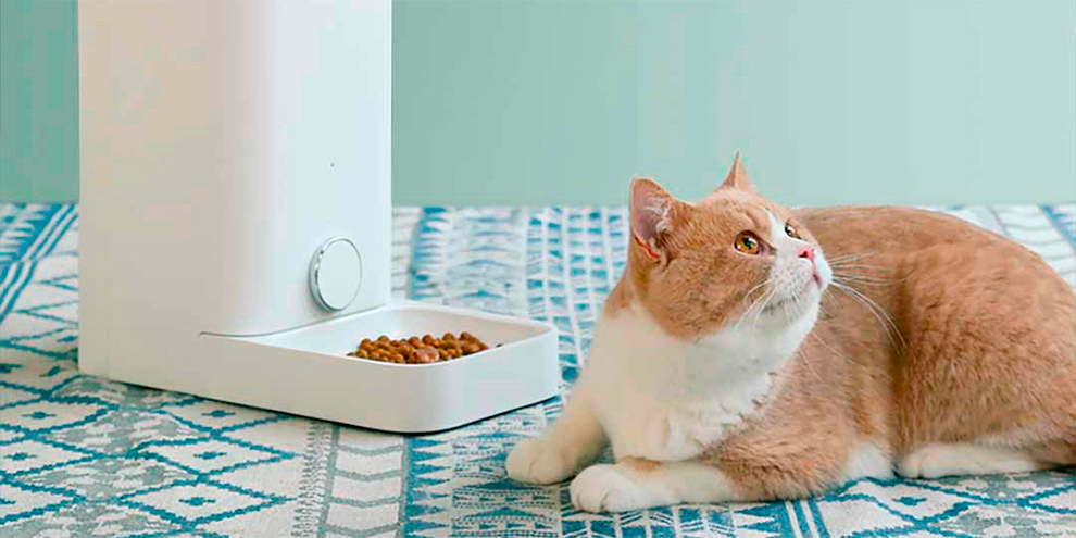 Умная автоматическая кормушка для кошек Petkit Fresh Element Mini