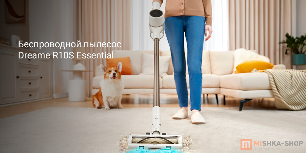 Dreame R10S Essential (VZV29A)