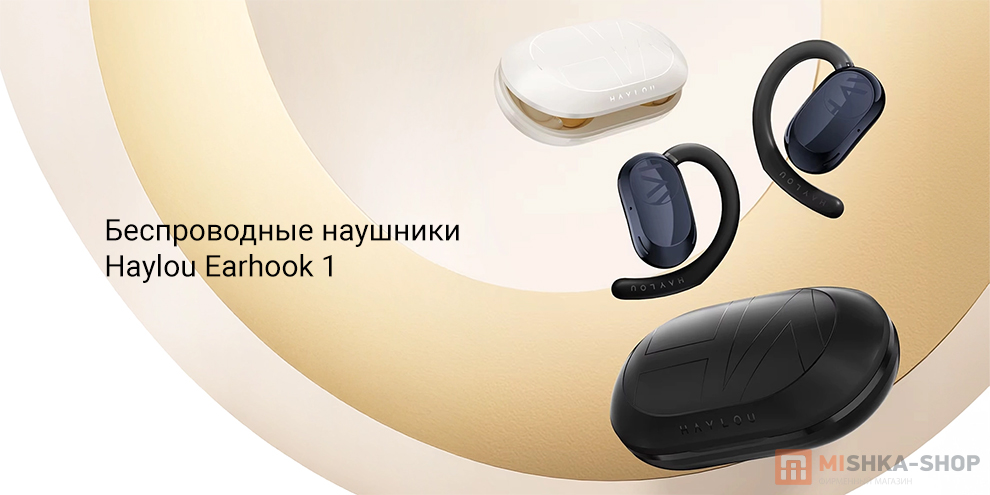 Haylou Earhook 1 (OW02)