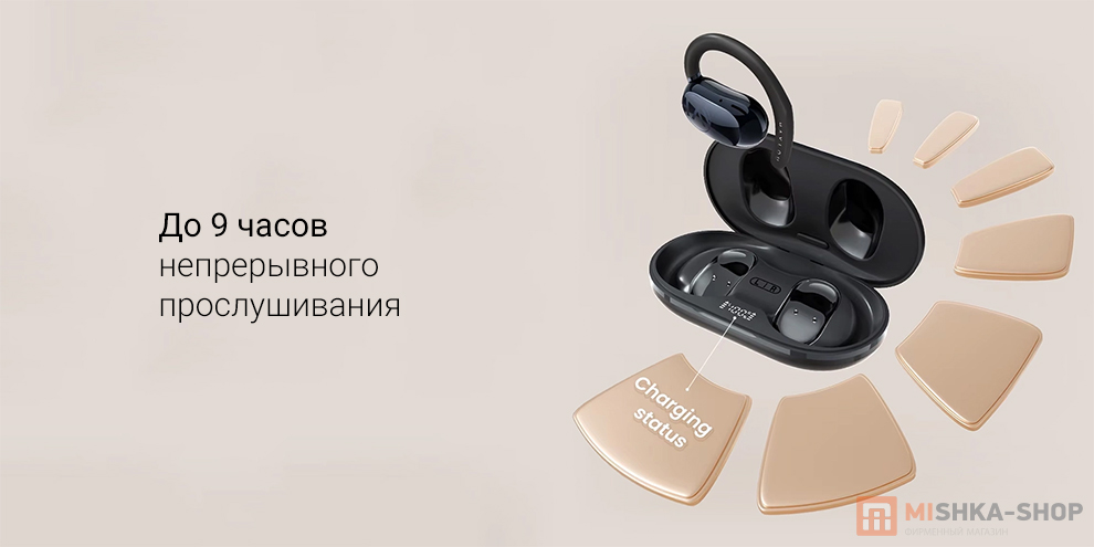 Haylou Earhook 1 (OW02)