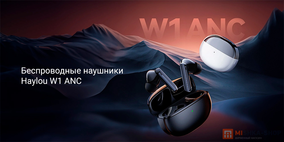 Haylou W1 ANC