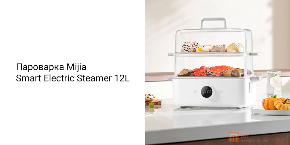 Mijia Smart Electric Steamer (MES01)