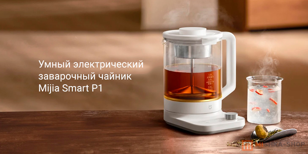 Mijia Smart P1 (MJDGNYSH03DEM)