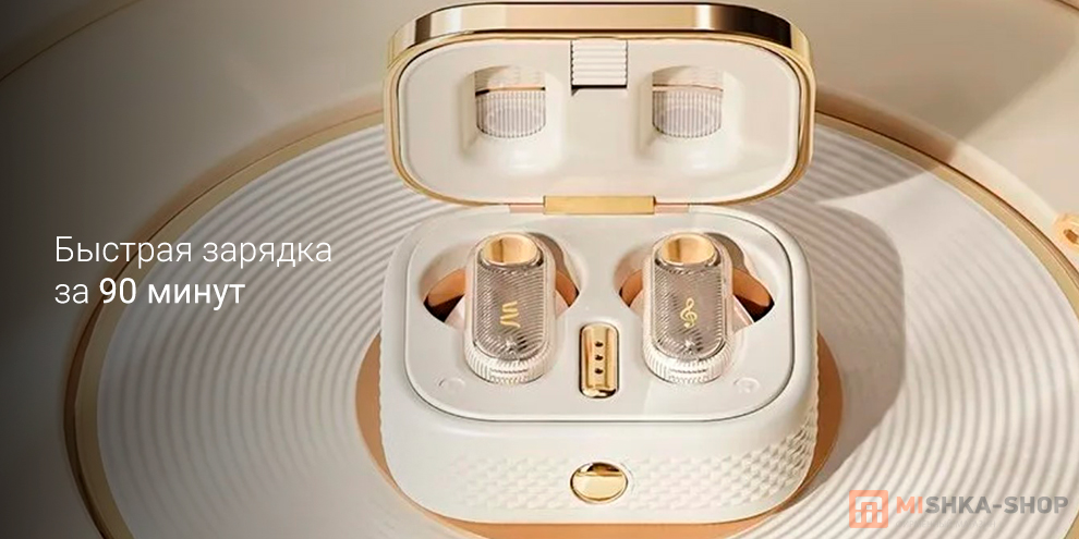 Rock Retro Style TWS Earphone Retro Mix Tape