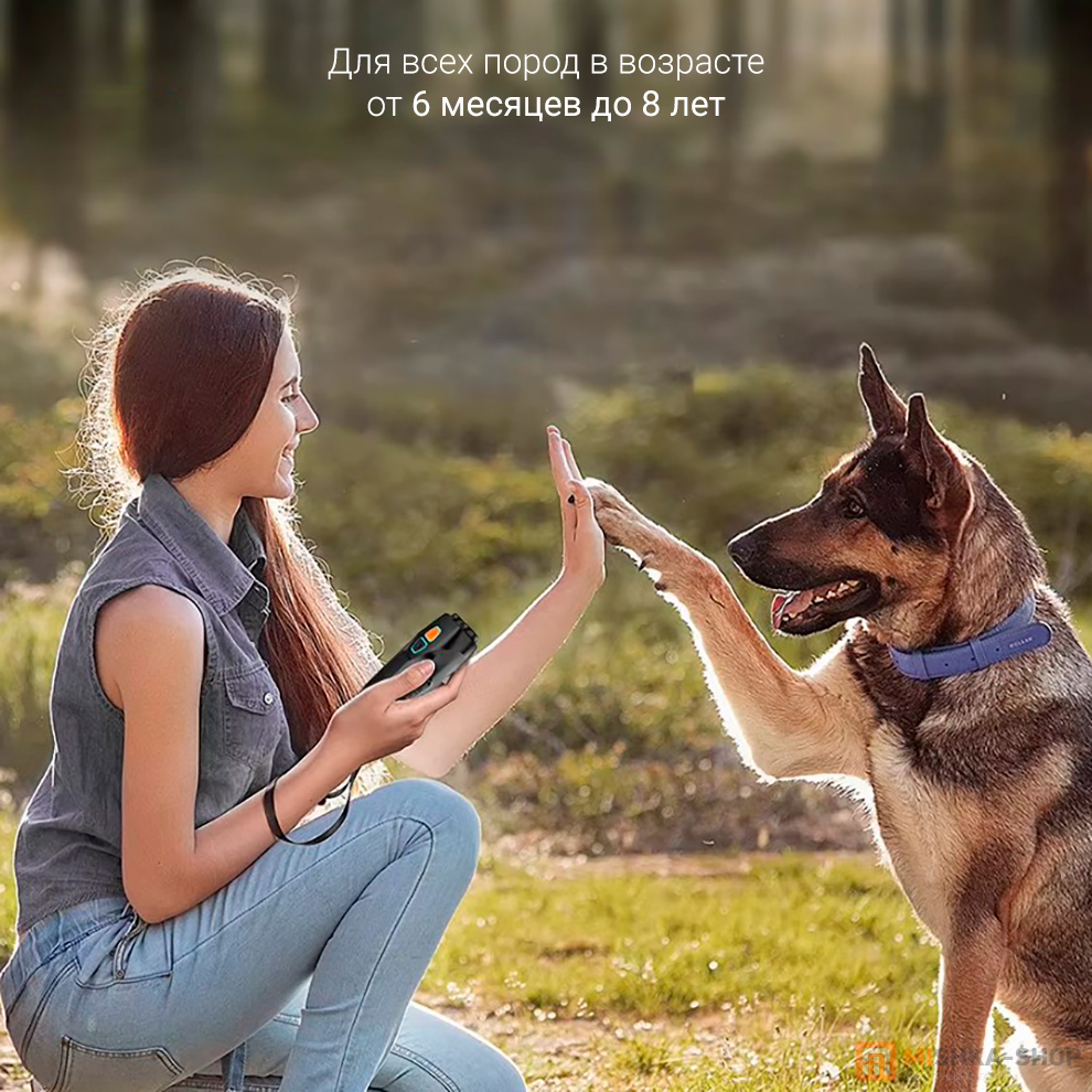 Rojeco U20 Ultrasonic Dog Repeller Dual Probe LED