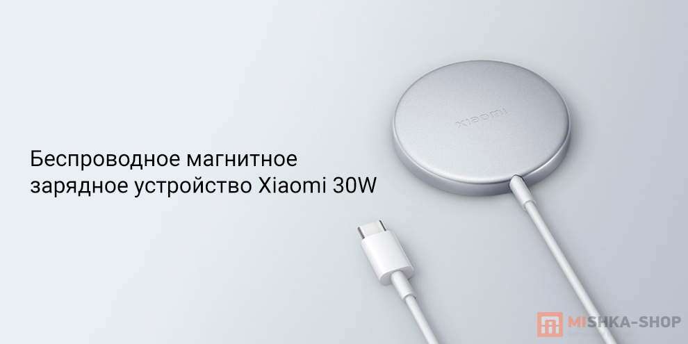 Xiaomi 30W (BHR9364CN)