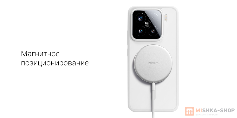 Xiaomi 30W (BHR9364CN)
