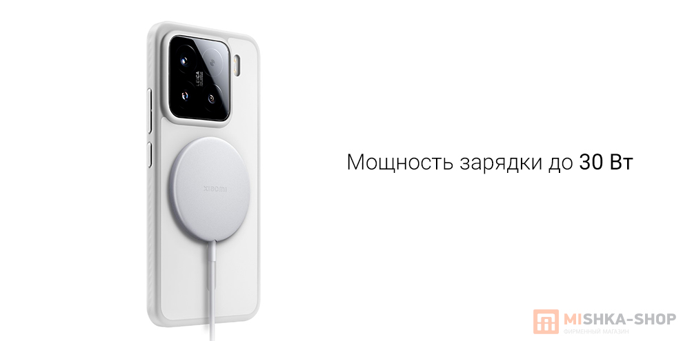 Xiaomi 30W (BHR9364CN)