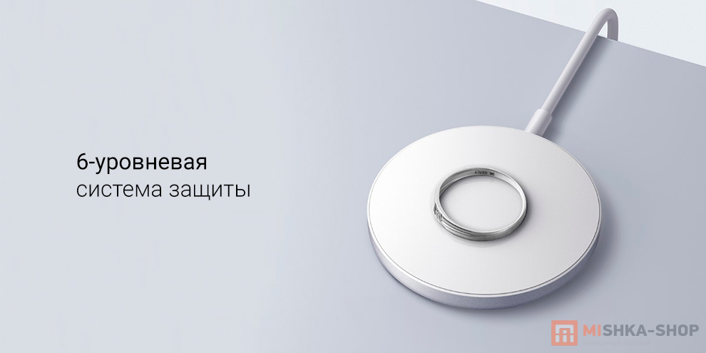Xiaomi 30W (BHR9364CN)
