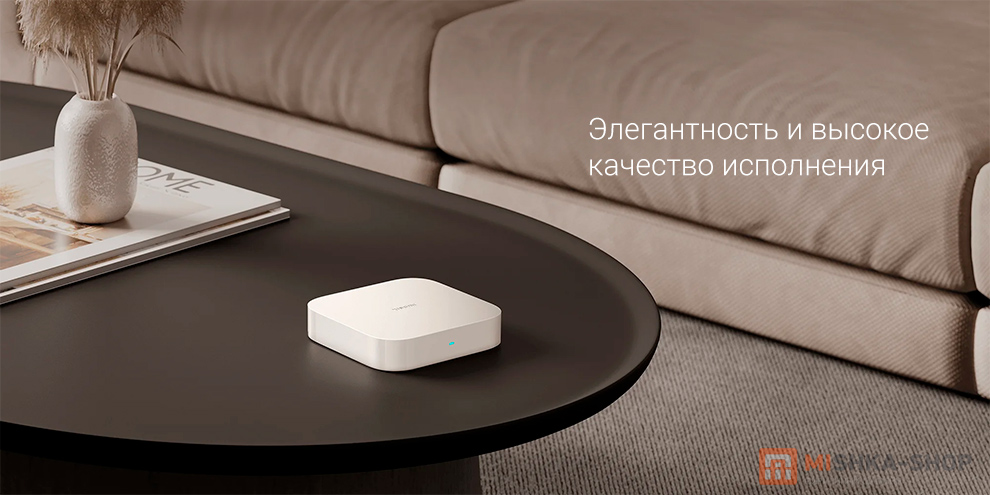 Xiaomi Smart Home Hub 2 (ZNDMWG04LM)