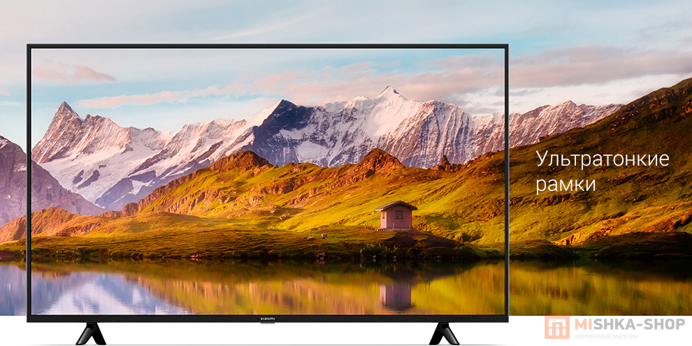 Xiaomi TV P1E 55