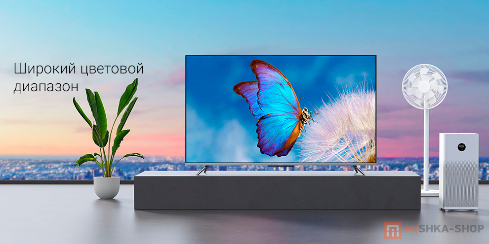 Xiaomi TV Q1E 55