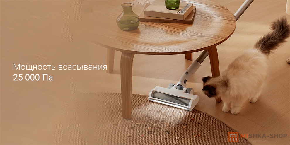 Xiaomi Vacuum Cleaner G20