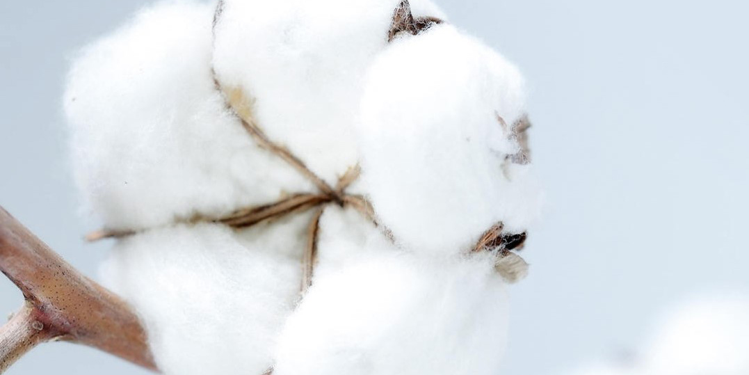 Дорожная подушка-подголовник Xiaomi 8H U1