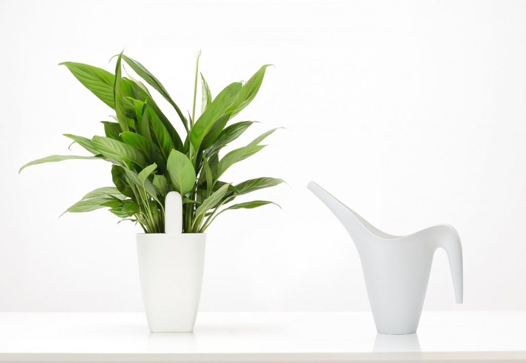 Xiaomi-Announces-Smart-Flower-Monitor-for-Your-House-Plants-Weboo-co-15.jpg
