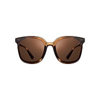 Солнцезащитные очки Mijia Polarized Sunglasses (MJTA02LM) (Коричневый) — фото