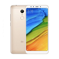 Смартфон Redmi 5 16GB/2GB Gold (Золотой) — фото