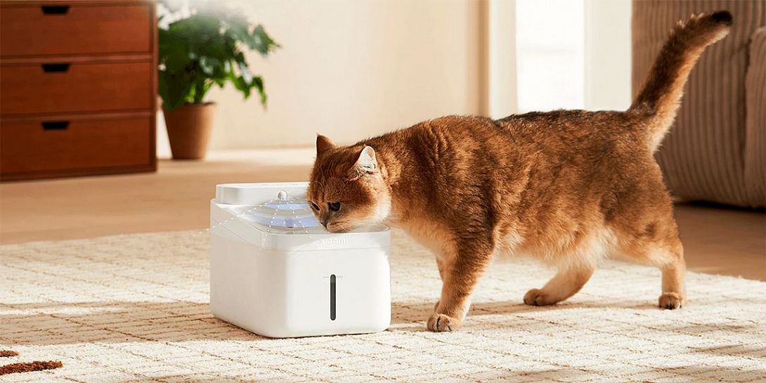 Обзор Xiaomi Smart Pet Fountain 2: 100 дней подачи очищенной воды