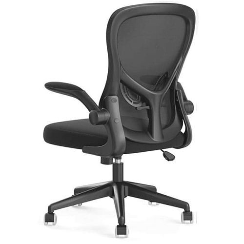 Кресло компьютерное HBADA Ergonomic Double Waist Computer Chair (HDNY163WM) Black (Черный) — фото