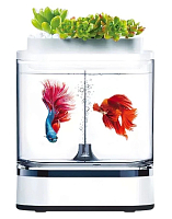 Акваферма Geometry Mini Lazy Fish Tank Pro C300 — фото