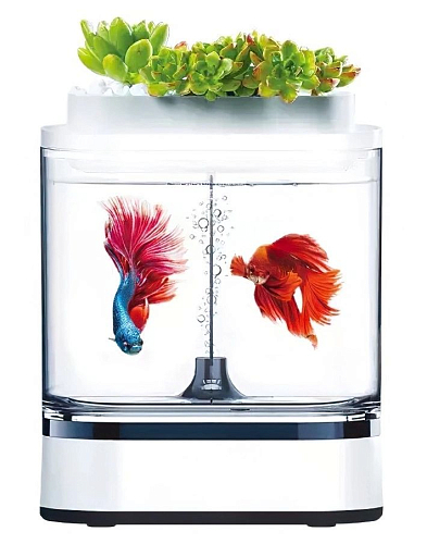 Акваферма Geometry Mini Lazy Fish Tank Pro C300 — фото