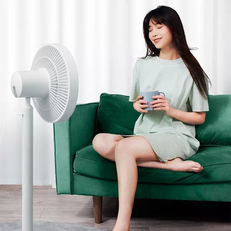 Напольный вентилятор Xiaomi Rosou DC Inverter Fan с пультом