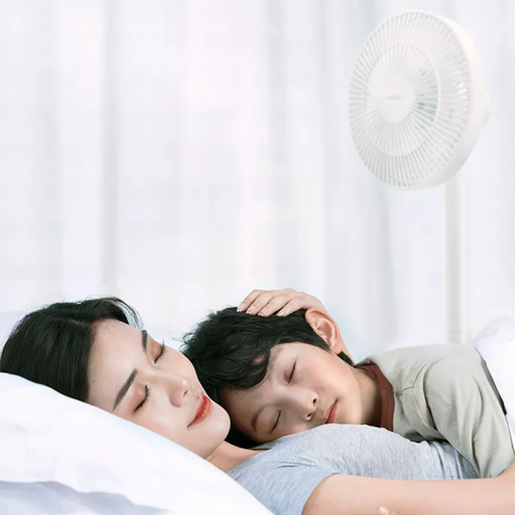 Вентилятор напольный Xiaomi Rosou DC Inverter Fan с пультом (SS5, белый)
