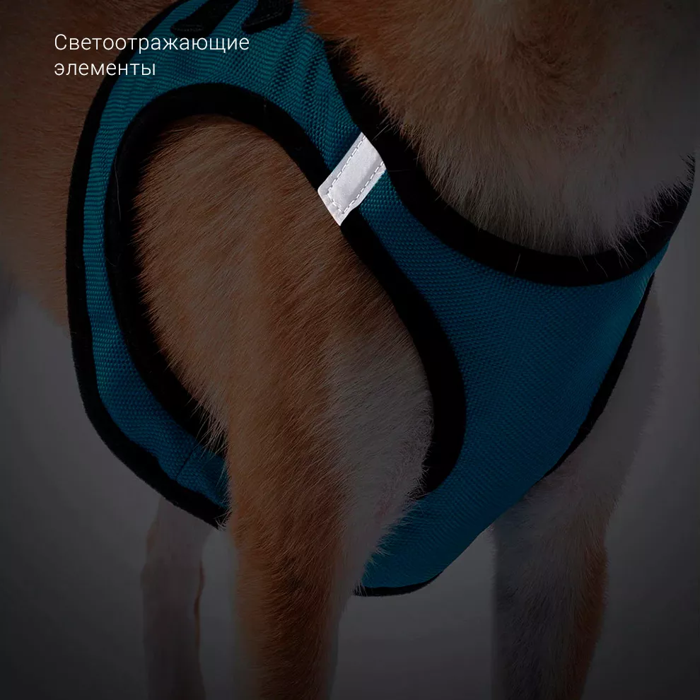 Нательный ошейник для собак Xiaomi Jordan Judy PE073
