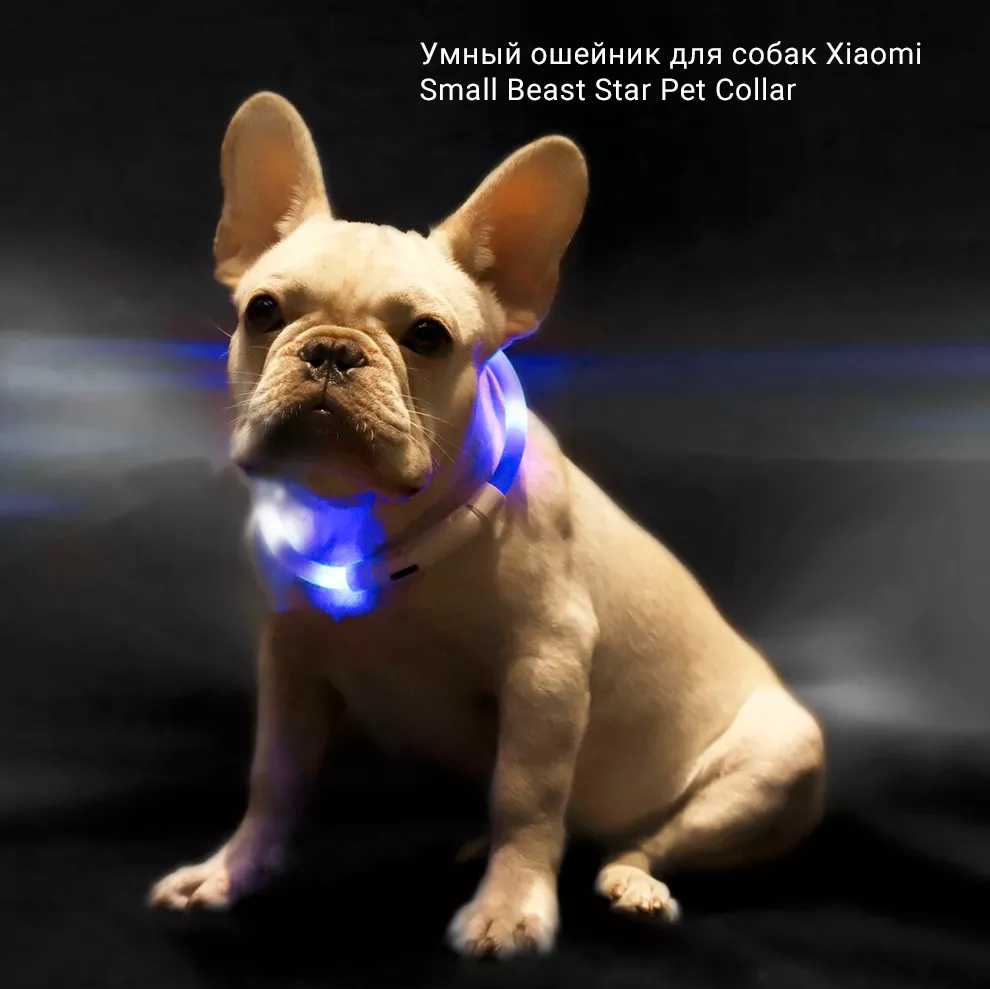 Умный ошейник для собак Xiaomi Small Beast Star Pet Collar (XL81-5001) (Синий): купить по лучшей цене в Москве с доставкой, характеристики